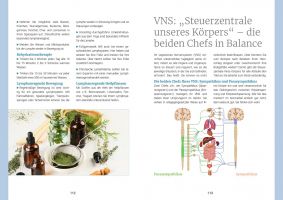 VNS